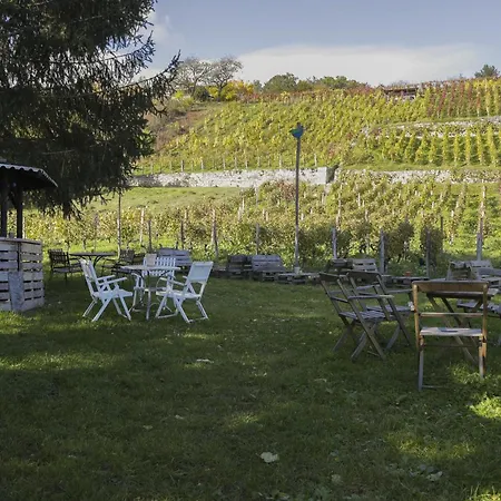 Weingut Winzerbar Lägenhet *