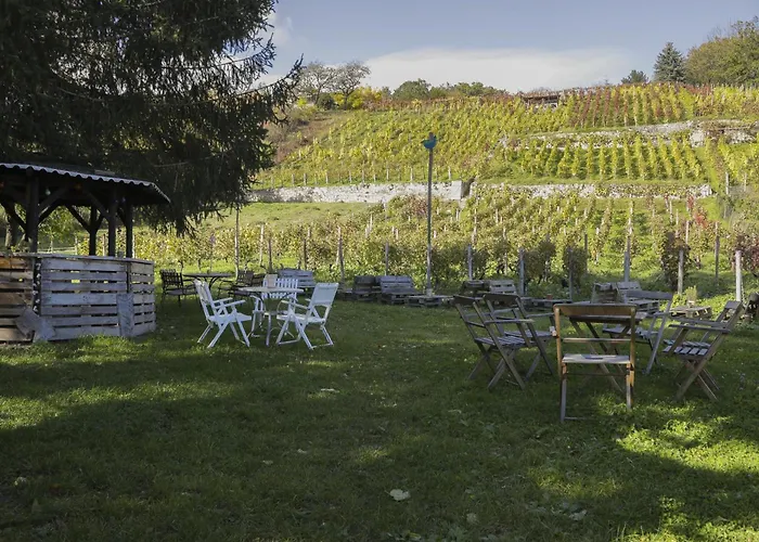 Weingut Winzerbar Lägenhet *